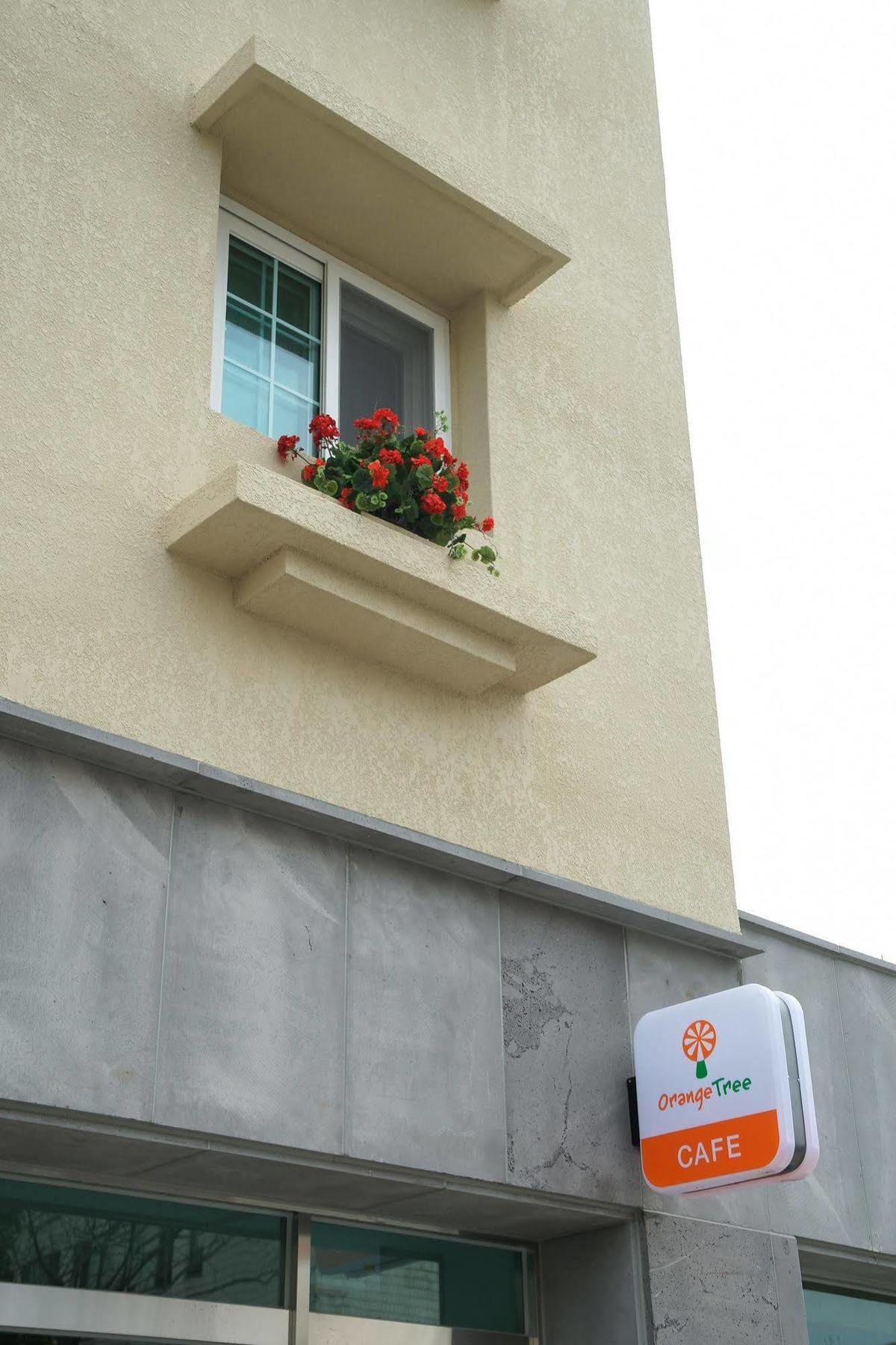 Orange Tree Hotel Jeju Exterior foto